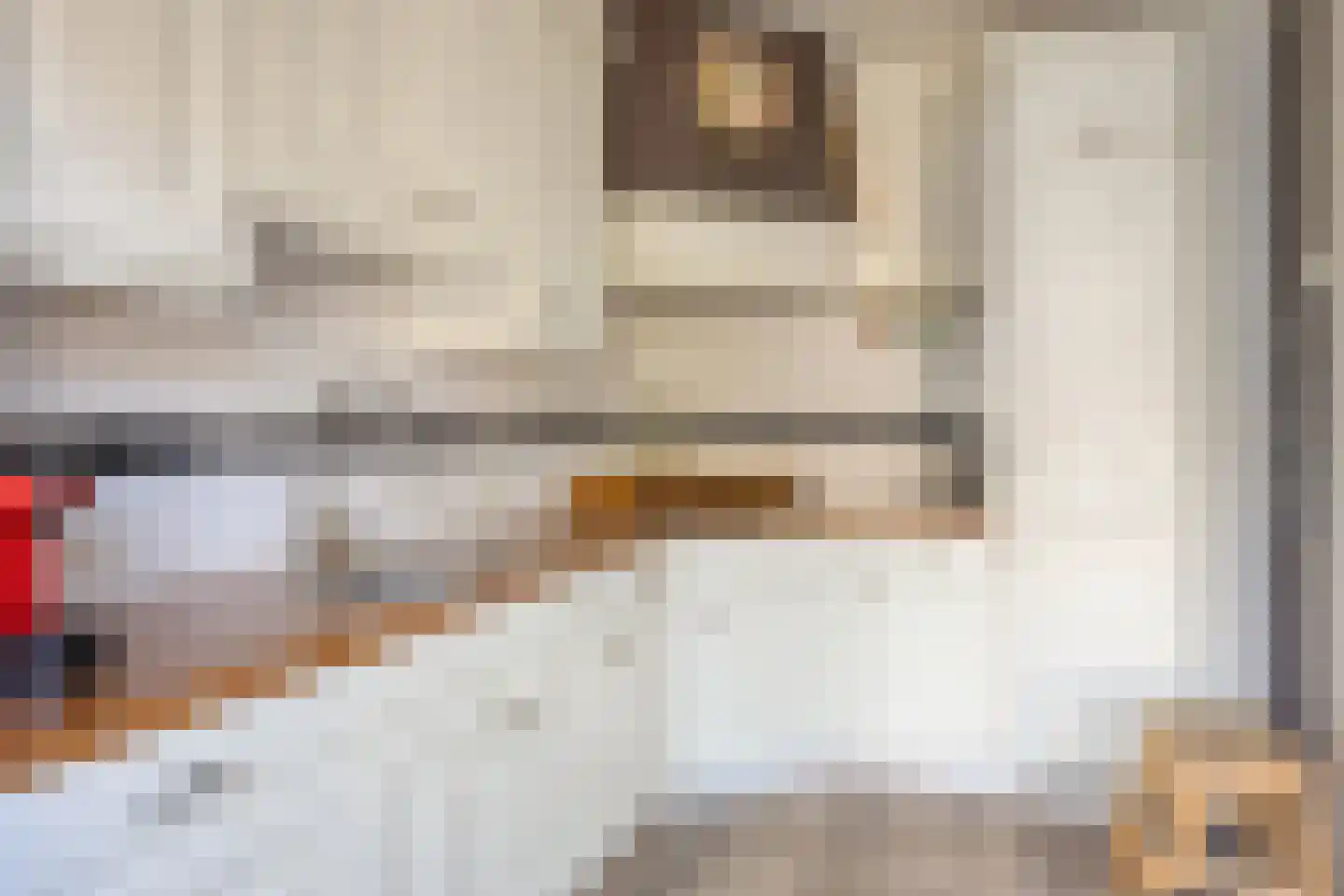 Florastraat 10 Krimpen aan de Lek thumbnail 11