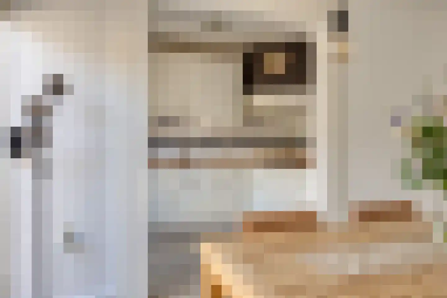 Florastraat 10 Krimpen aan de Lek thumbnail 9