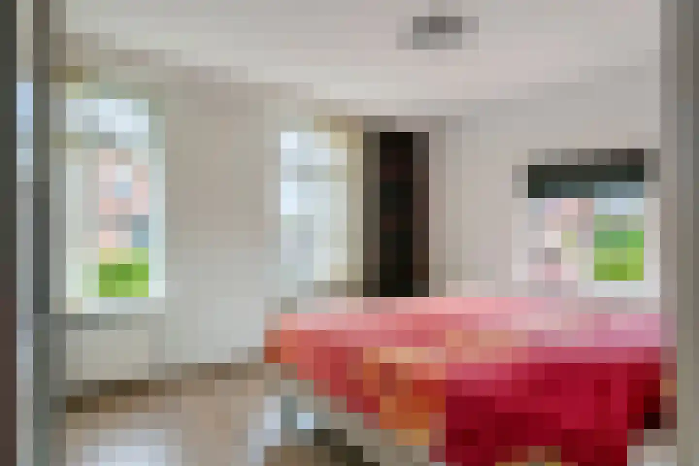 Florastraat 12 Boven-Leeuwen thumbnail 14