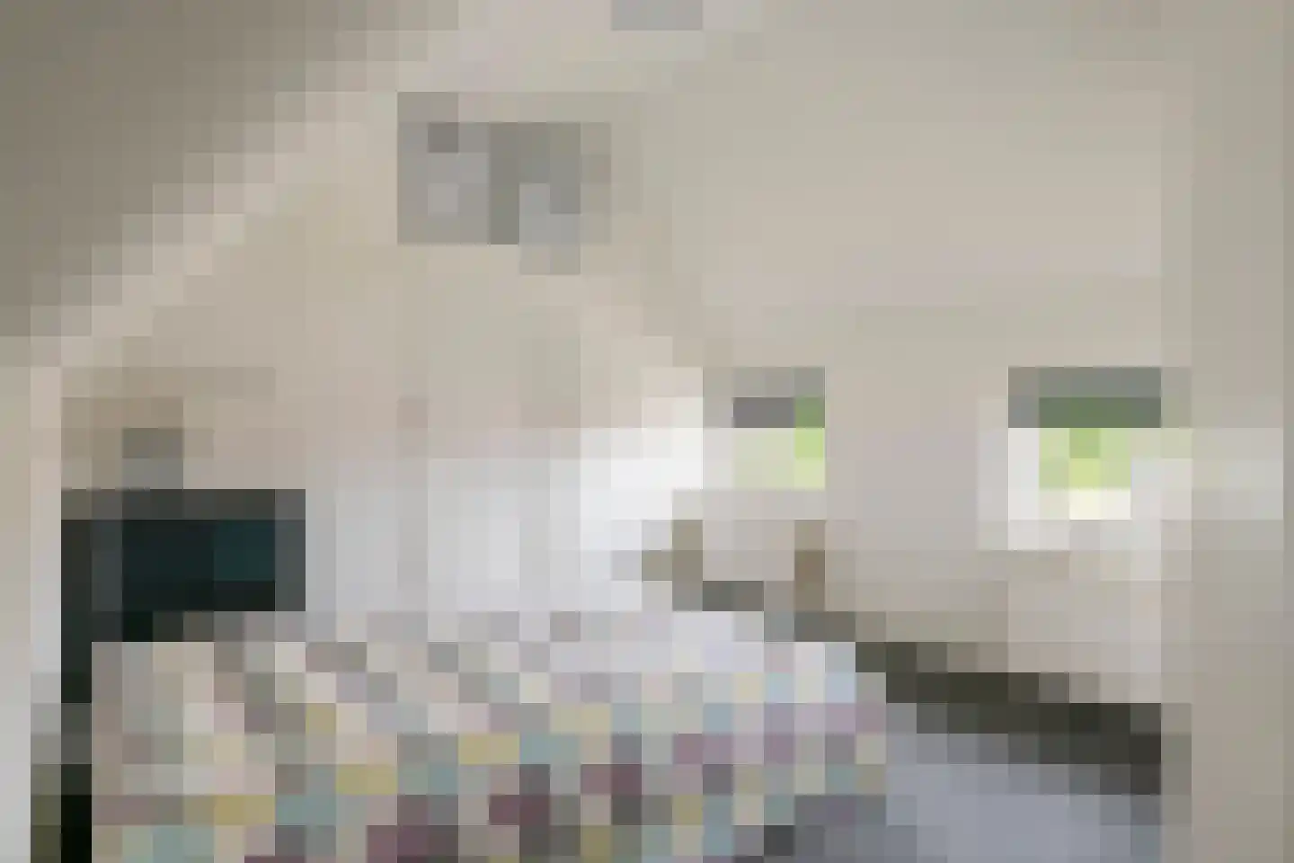 Florastraat 12 Boven-Leeuwen thumbnail 25
