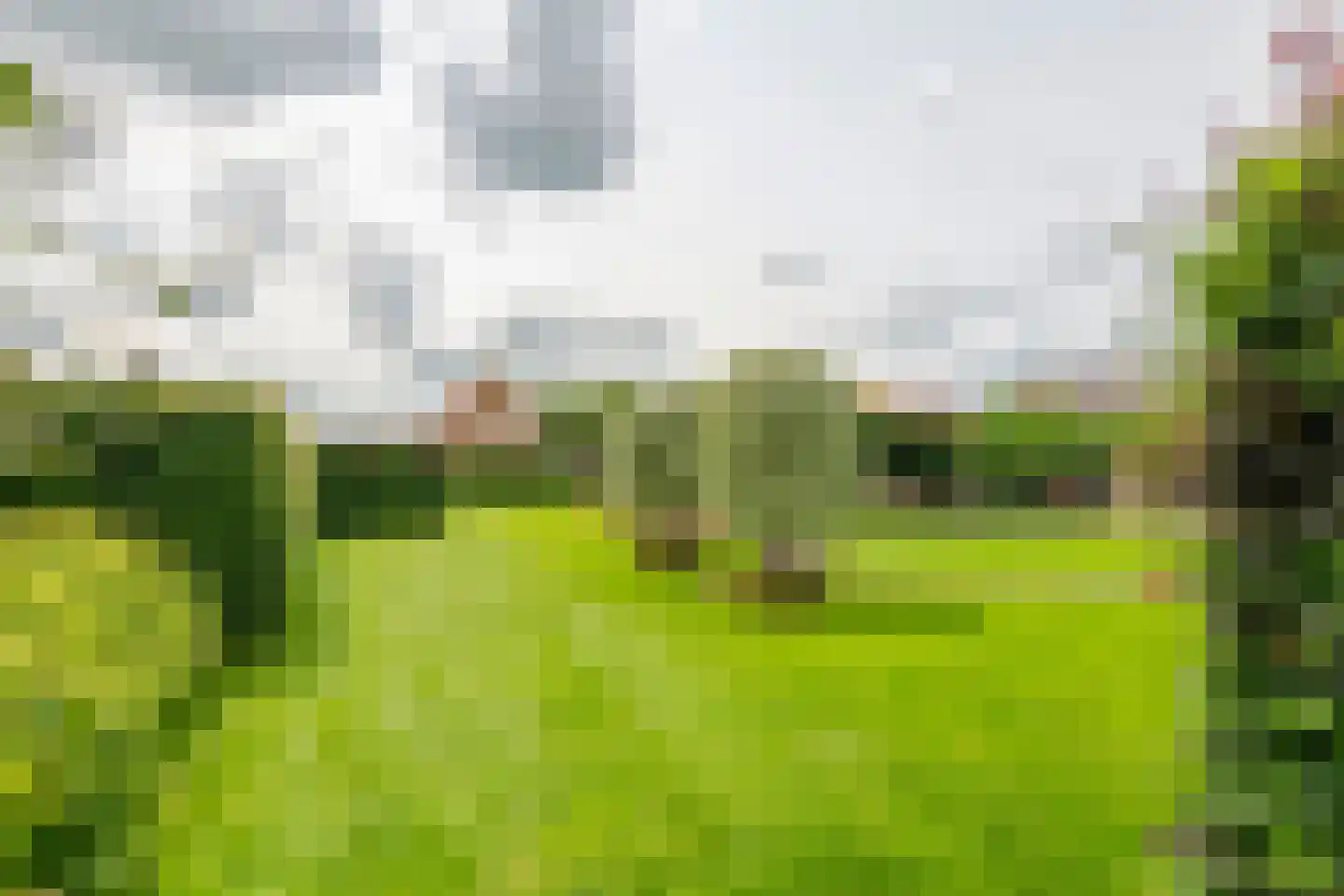 Florastraat 12 Boven-Leeuwen thumbnail 38