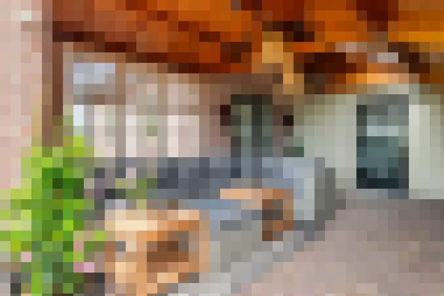 Florastraat 12 Boven-Leeuwen thumbnail 4