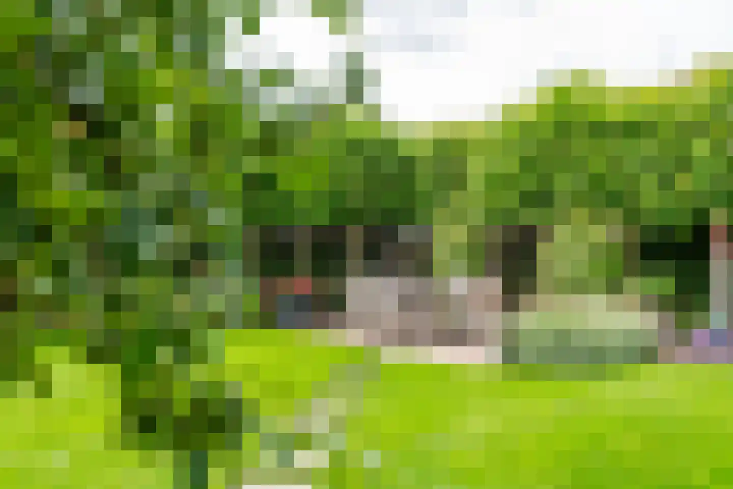 Florastraat 12 Boven-Leeuwen thumbnail 40