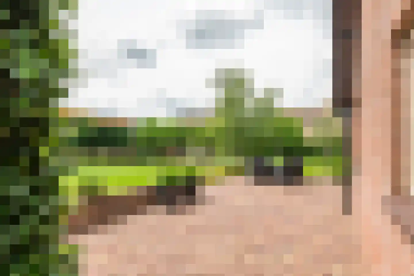 Florastraat 12 Boven-Leeuwen thumbnail 42