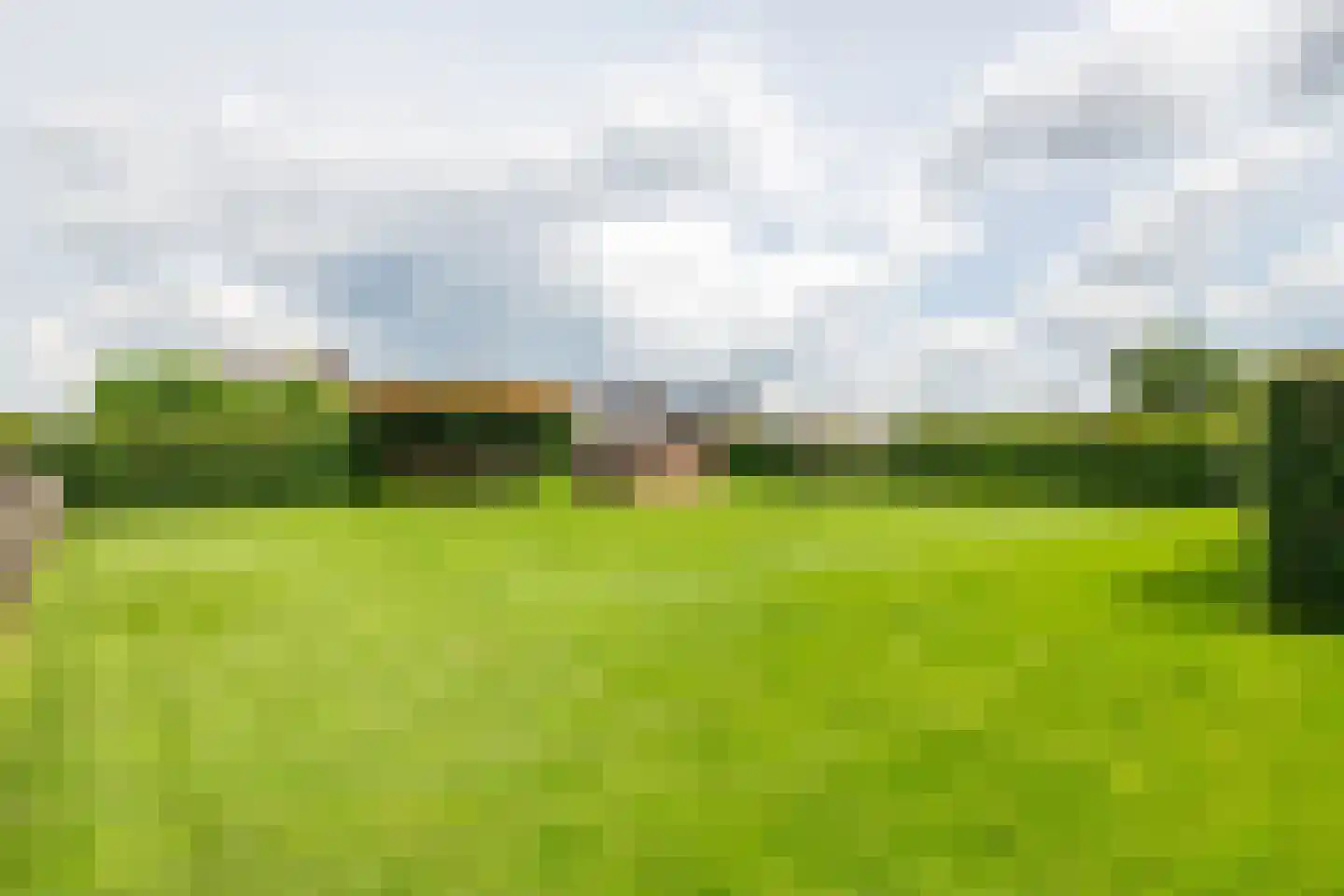 Florastraat 12 Boven-Leeuwen thumbnail 45