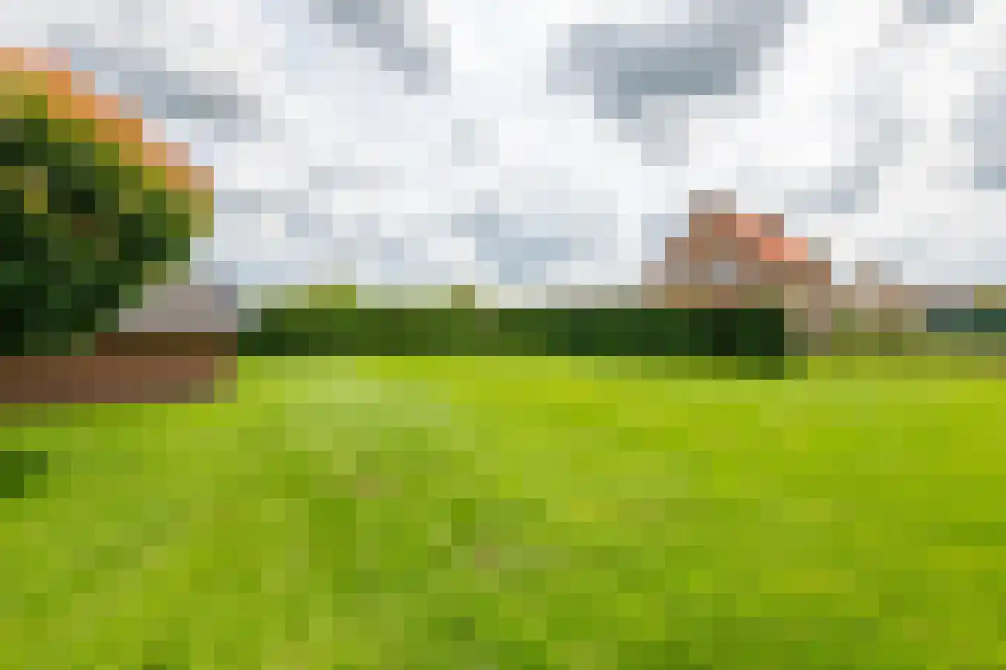 Florastraat 12 Boven-Leeuwen thumbnail 46