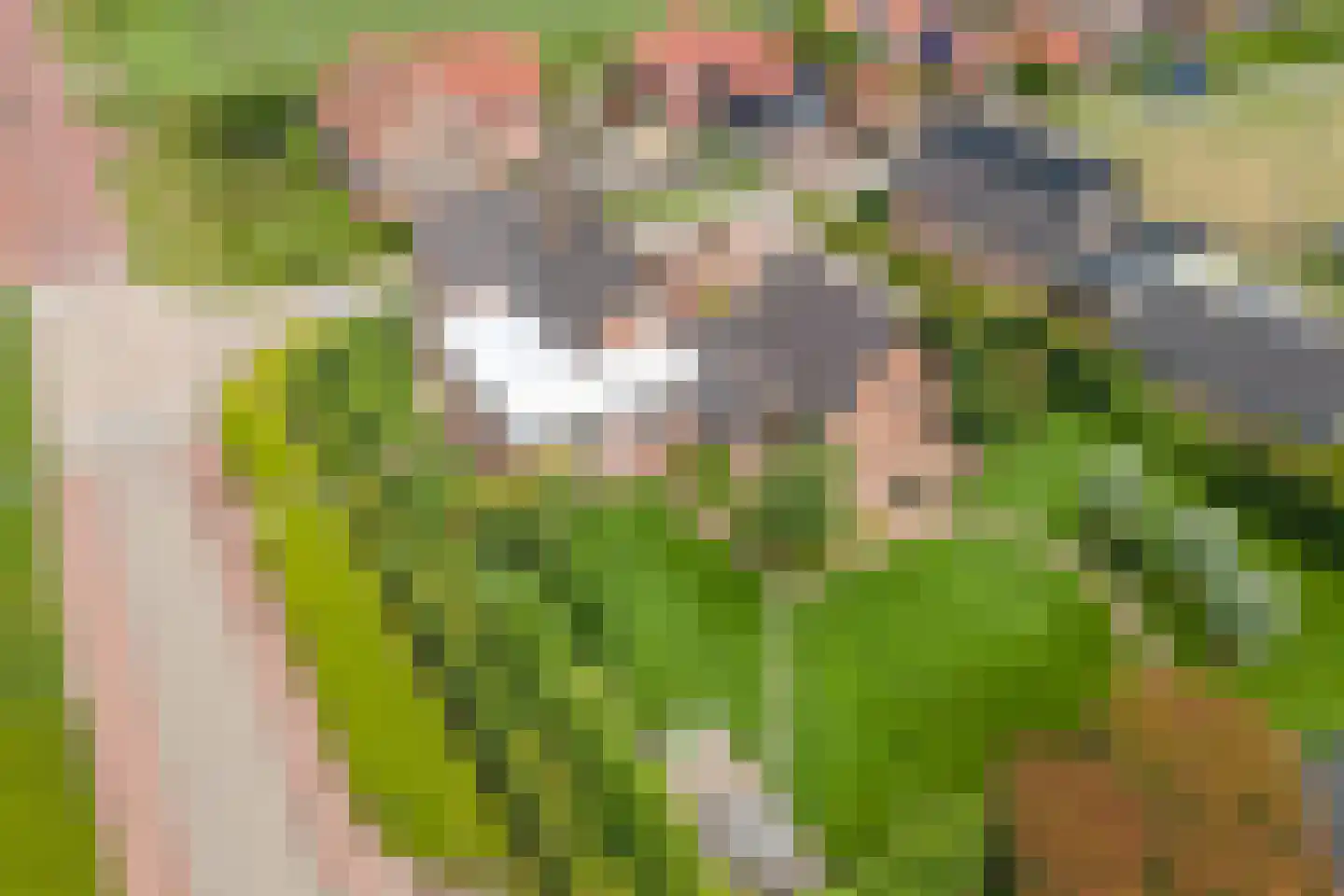 Florastraat 12 Boven-Leeuwen thumbnail 48
