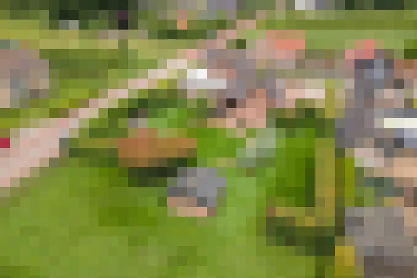 Florastraat 12 Boven-Leeuwen thumbnail 49