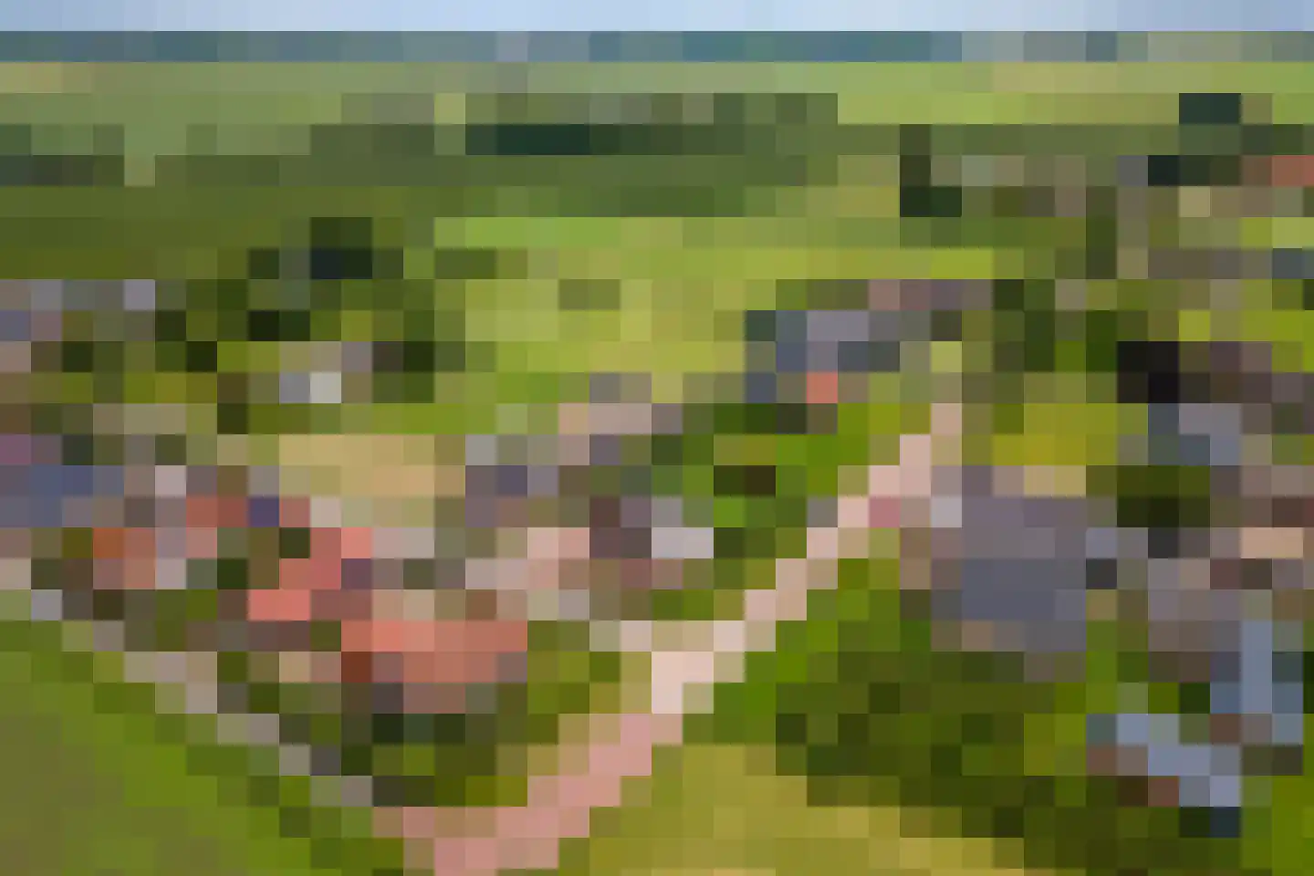 Florastraat 12 Boven-Leeuwen thumbnail 52