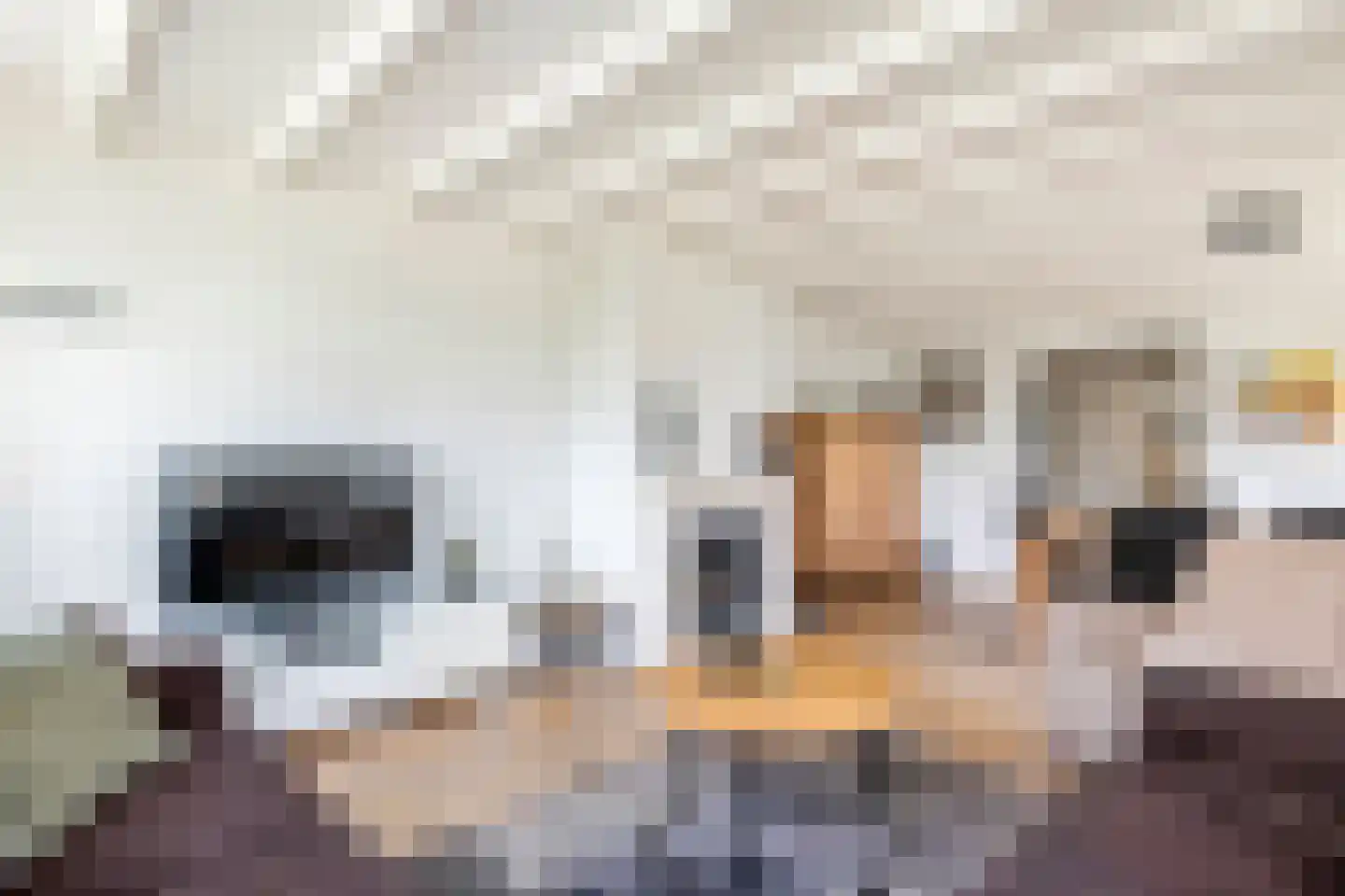 Florastraat 12 Boven-Leeuwen thumbnail 6