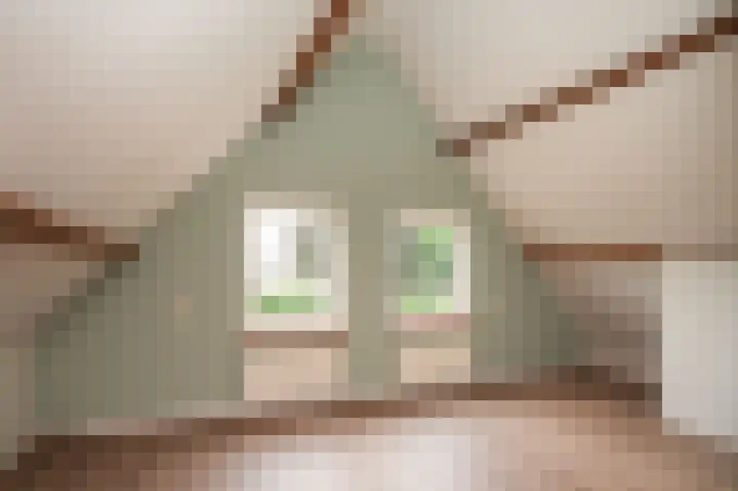 Florastraat 23 Boven-Leeuwen thumbnail 27
