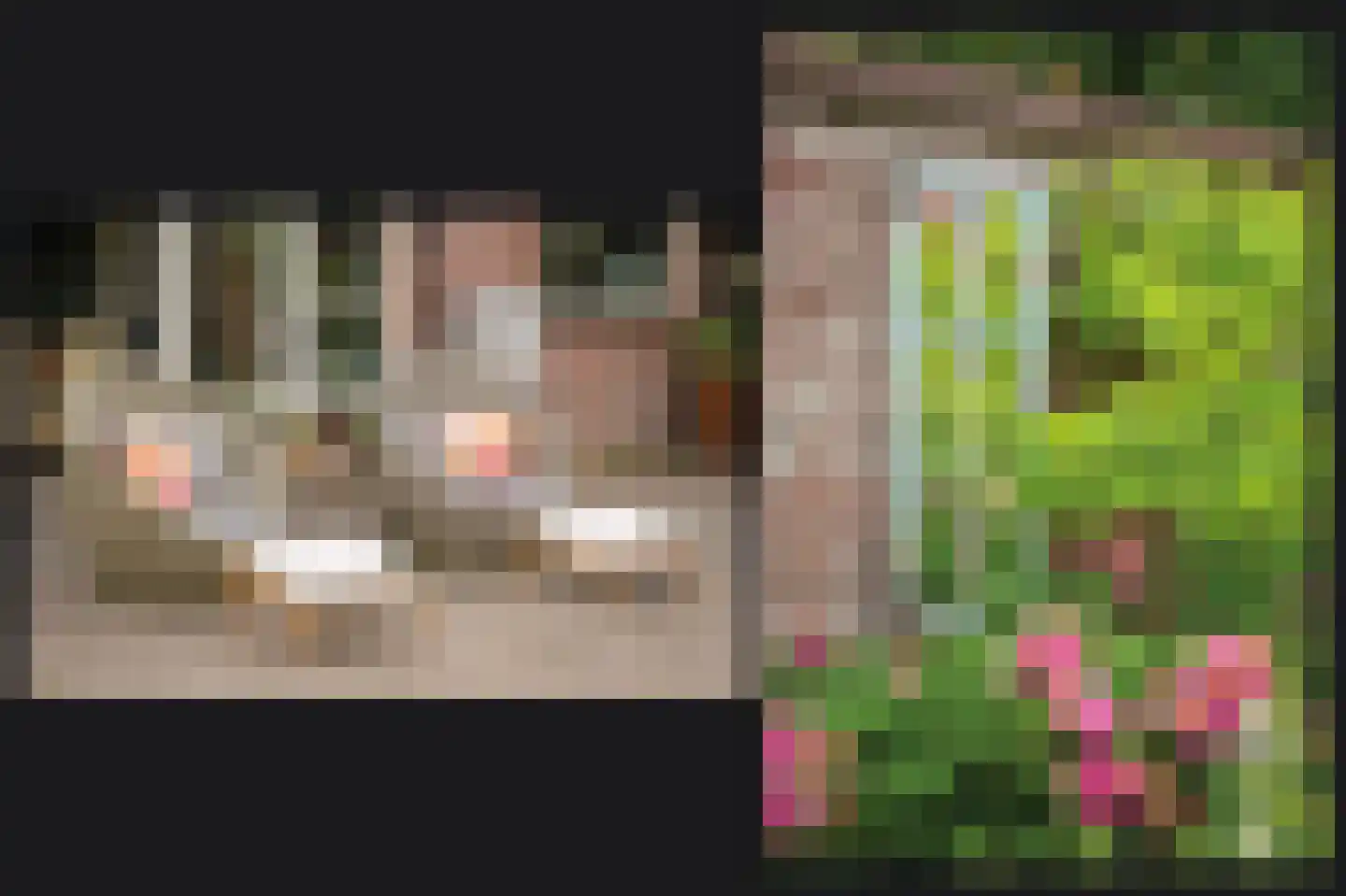 Florastraat 23 Boven-Leeuwen thumbnail 39
