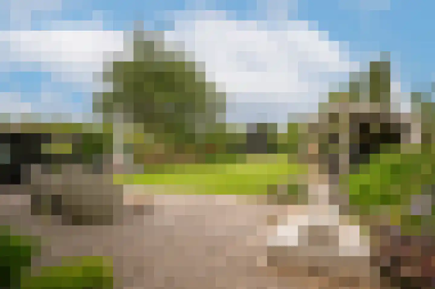 Florastraat 23 Boven-Leeuwen thumbnail 41