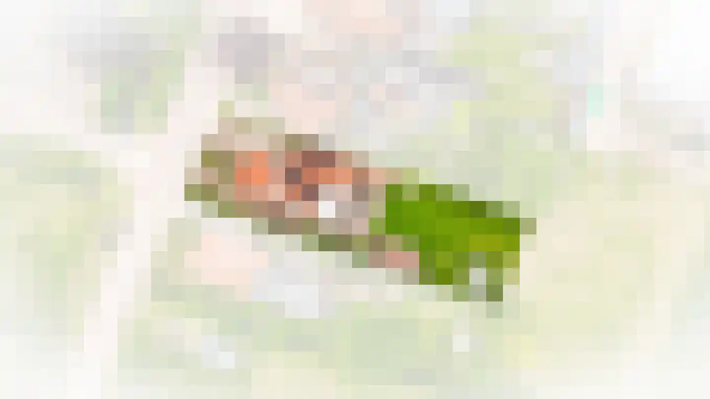 Florastraat 23 Boven-Leeuwen thumbnail 53