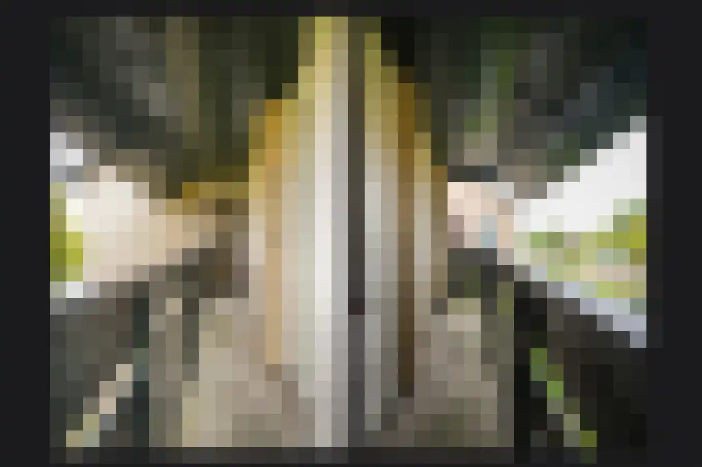 Florastraat 24 Boven-Leeuwen thumbnail 37