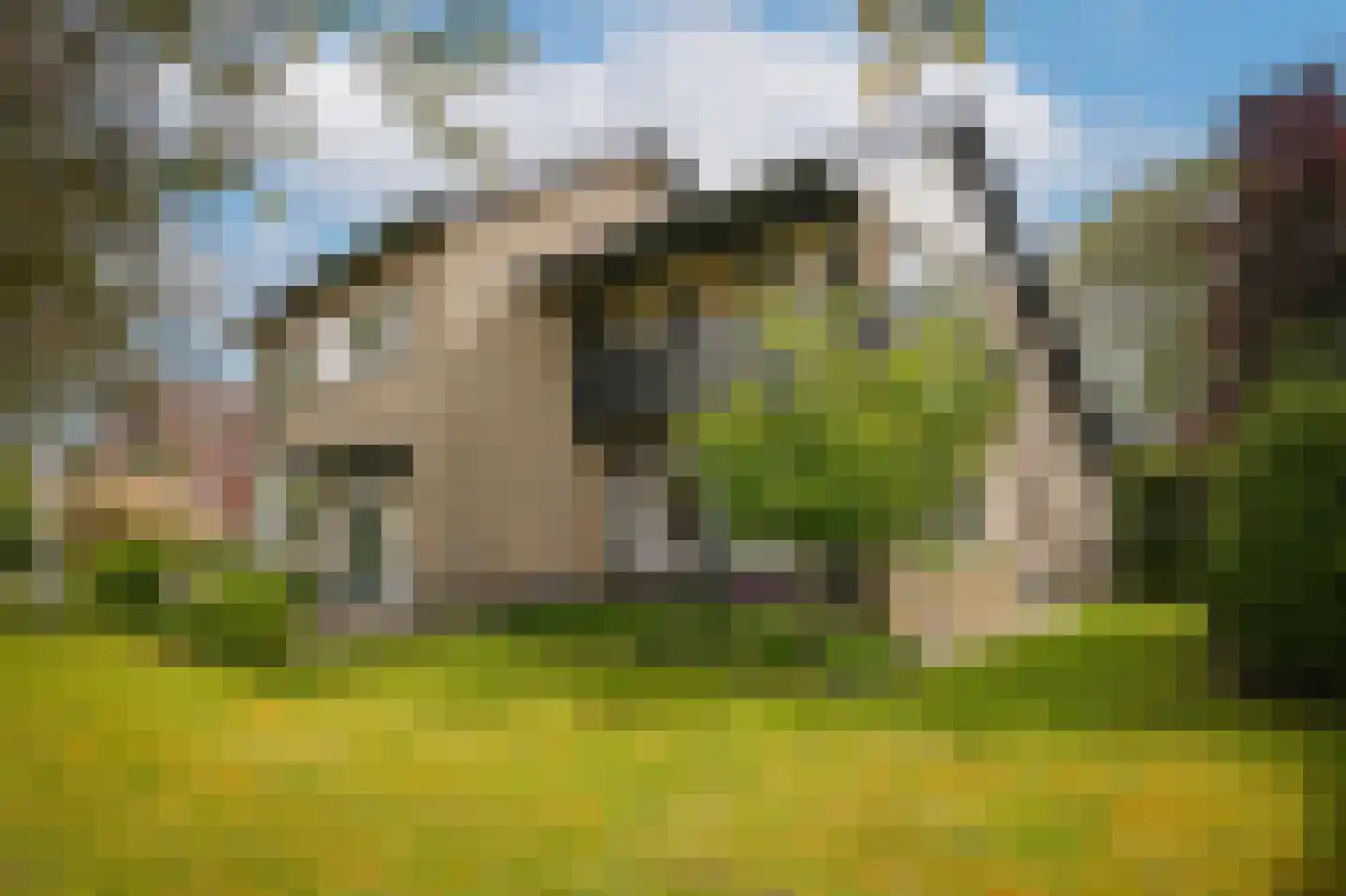 Florastraat 24 Boven-Leeuwen thumbnail 4