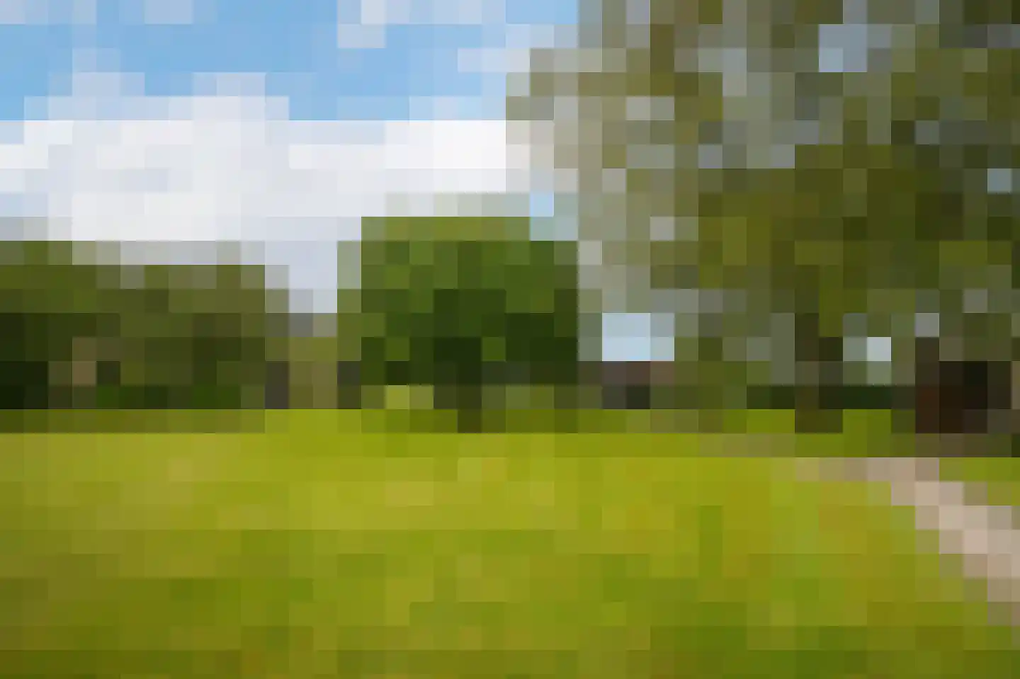 Florastraat 24 Boven-Leeuwen thumbnail 52
