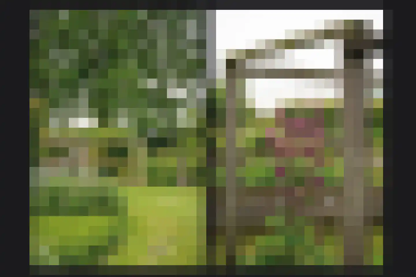 Florastraat 24 Boven-Leeuwen thumbnail 62