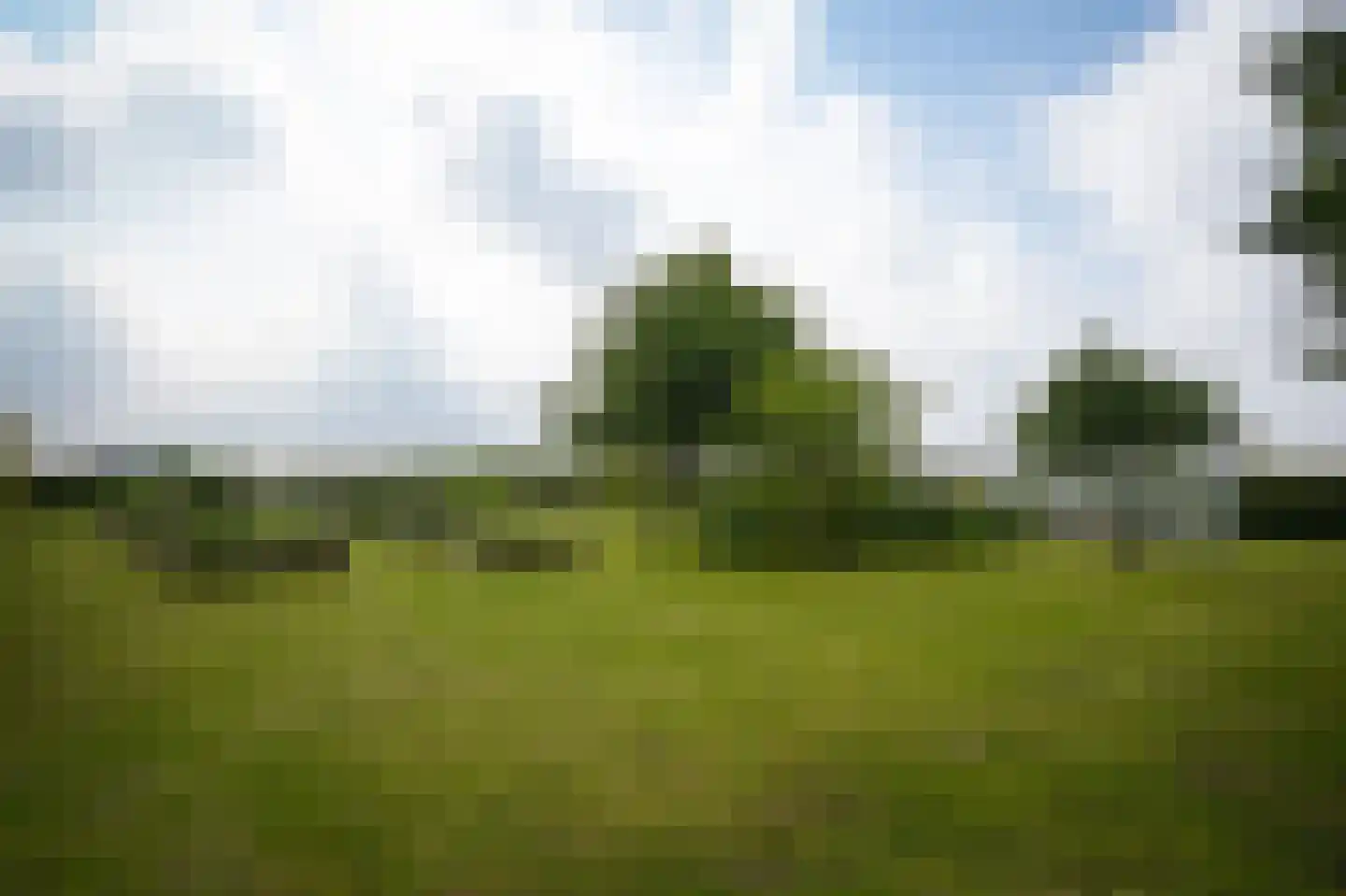 Florastraat 24 Boven-Leeuwen thumbnail 63