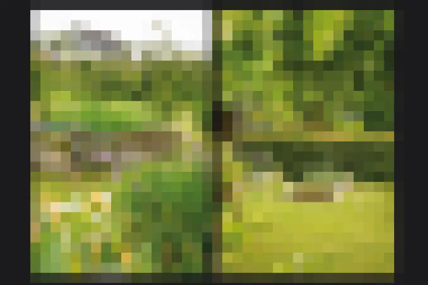 Florastraat 24 Boven-Leeuwen thumbnail 65