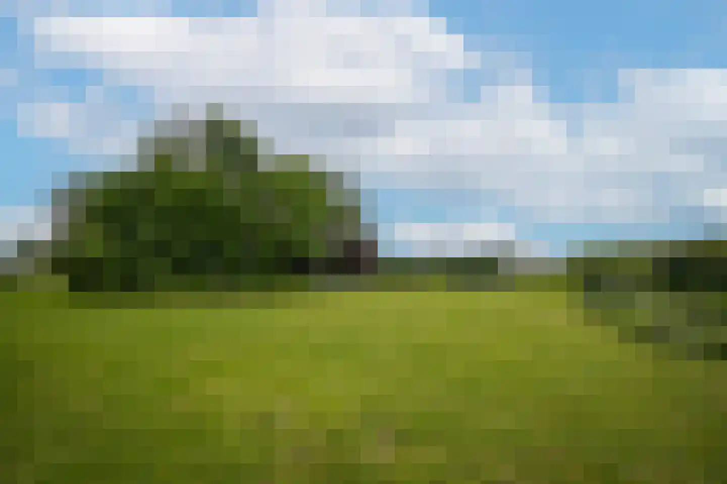 Florastraat 24 Boven-Leeuwen thumbnail 67