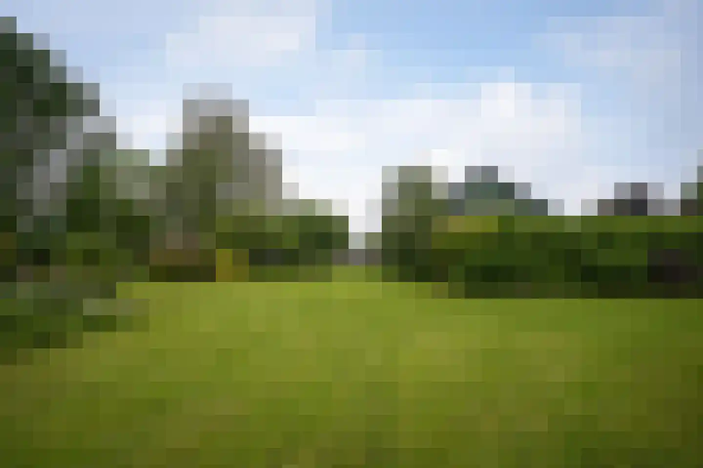 Florastraat 24 Boven-Leeuwen thumbnail 69