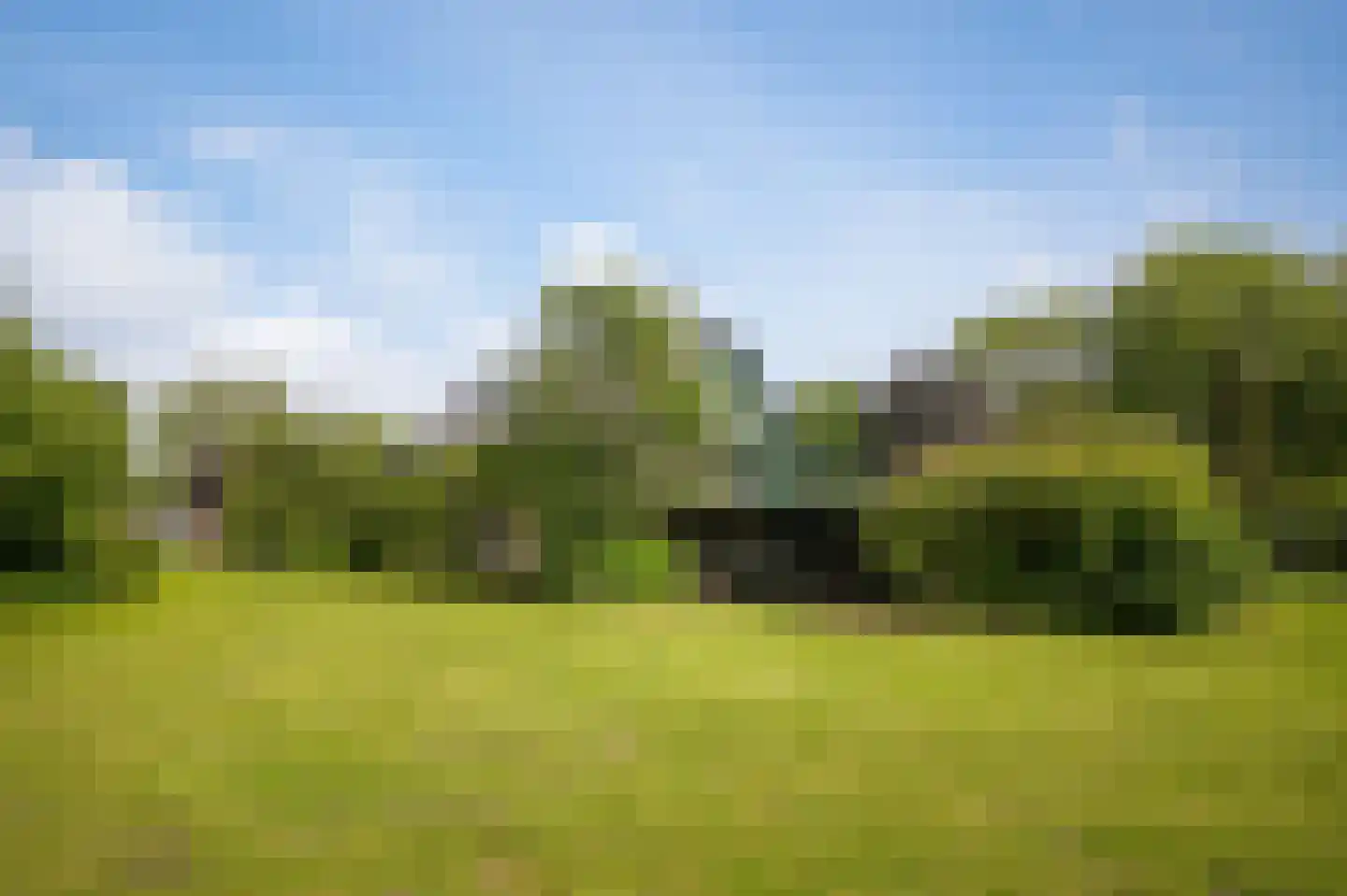 Florastraat 24 Boven-Leeuwen thumbnail 70