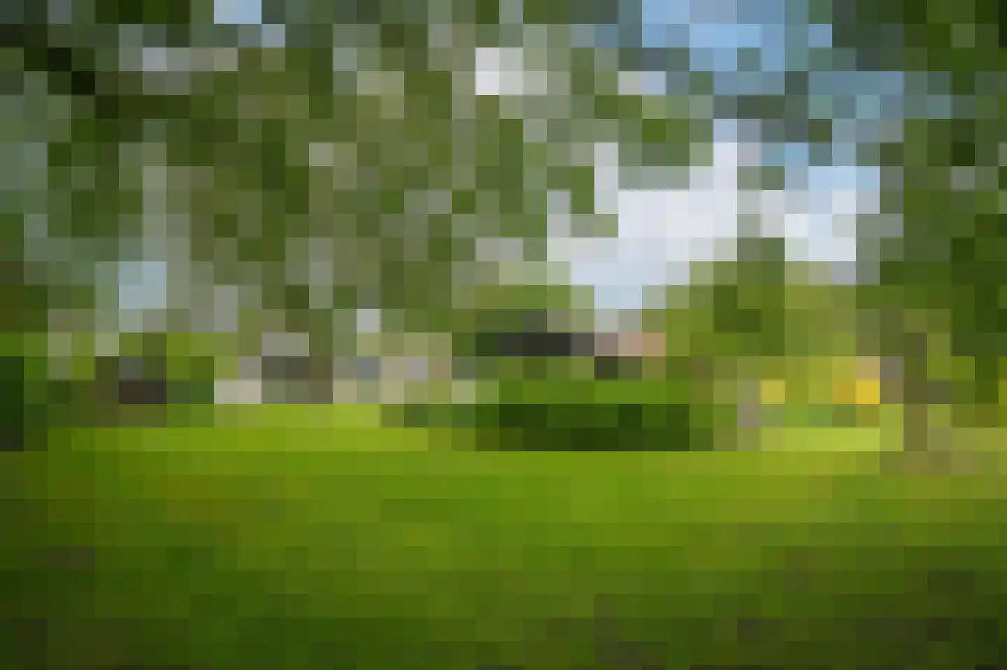Florastraat 24 Boven-Leeuwen thumbnail 71