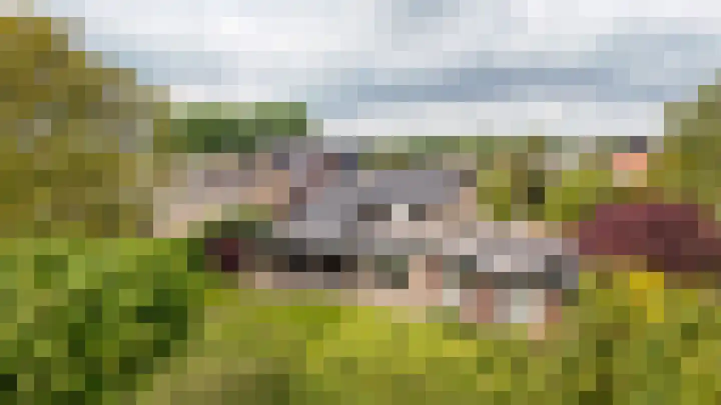 Florastraat 24 Boven-Leeuwen thumbnail 77