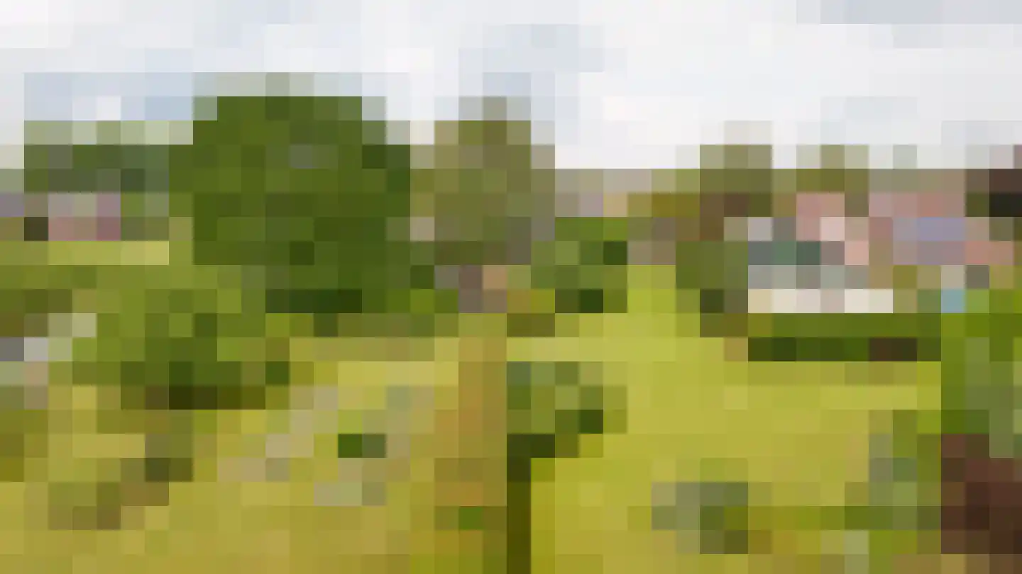 Florastraat 24 Boven-Leeuwen thumbnail 78