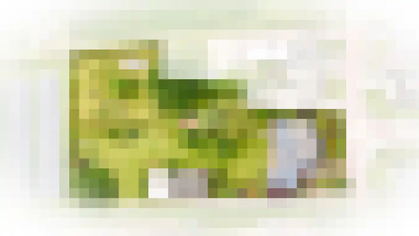 Florastraat 24 Boven-Leeuwen thumbnail 79