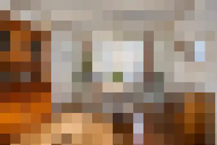 Florastraat 27 Blokker thumbnail 12