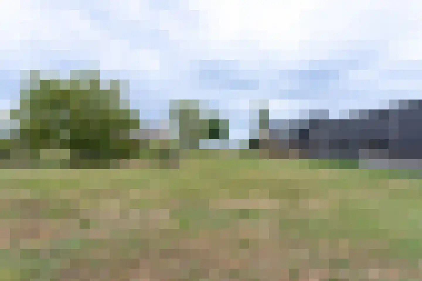 Florastraat 27 Boven-Leeuwen thumbnail 53