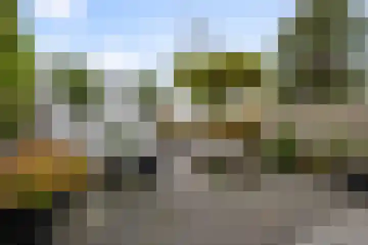 Florastraat 31 Wormer thumbnail 10