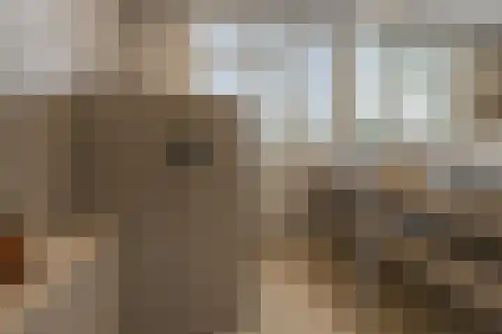 Florastraat 31 Wormer thumbnail 19