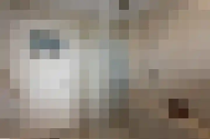 Florastraat 31 Wormer thumbnail 20