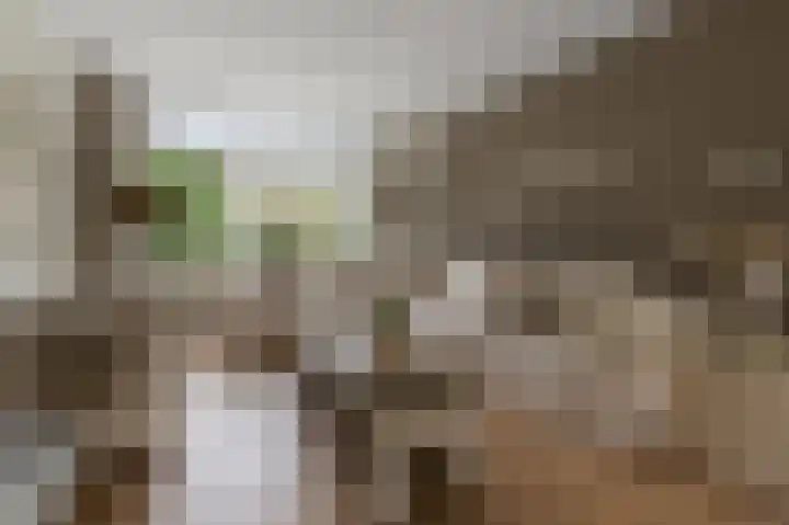 Florastraat 31 Wormer thumbnail 4