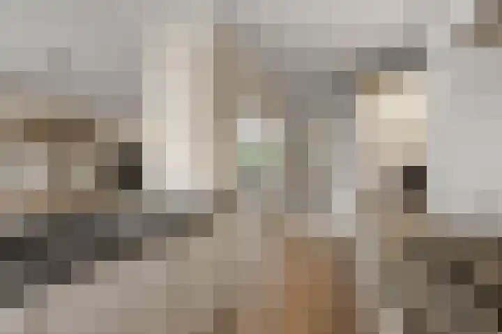 Florastraat 31 Wormer thumbnail 8
