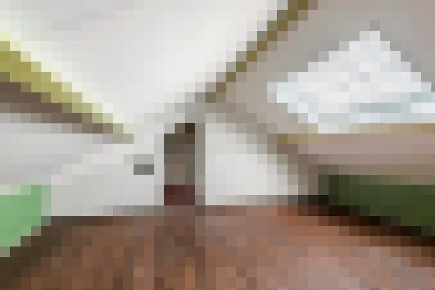 Florastraat 38 Boven-Leeuwen thumbnail 25