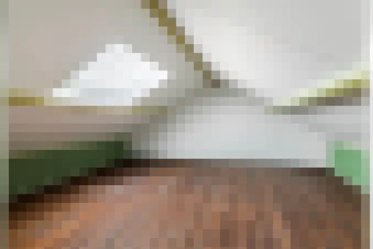 Florastraat 38 Boven-Leeuwen thumbnail 26
