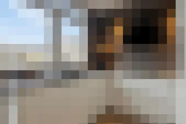 Florastraat 4 Blokker thumbnail 12