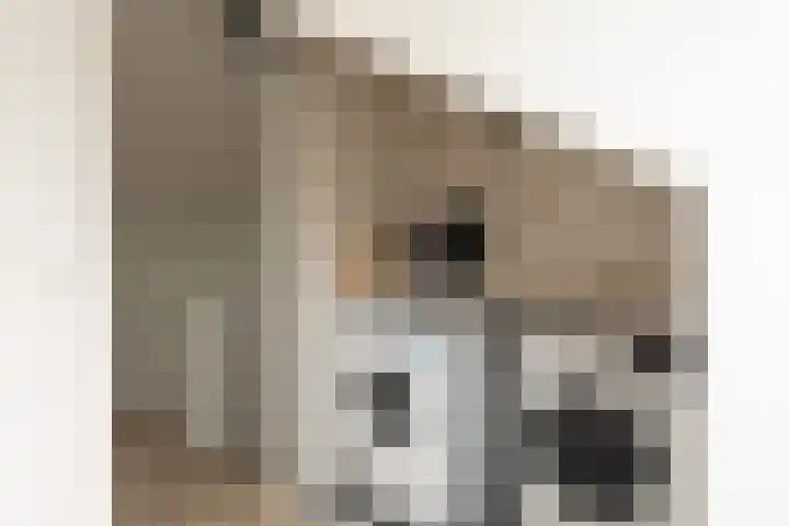 Florastraat 4 Blokker thumbnail 27