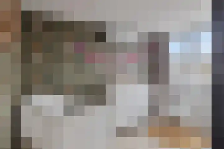 Florastraat 4 Blokker thumbnail 28
