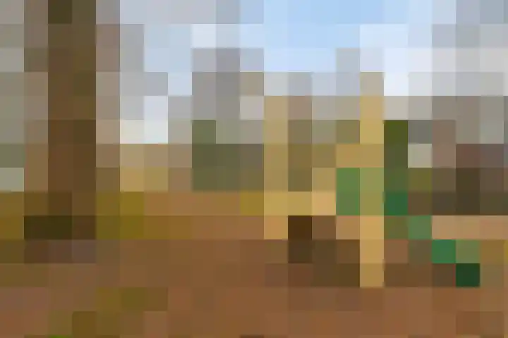 Florastraat 4 Blokker thumbnail 35