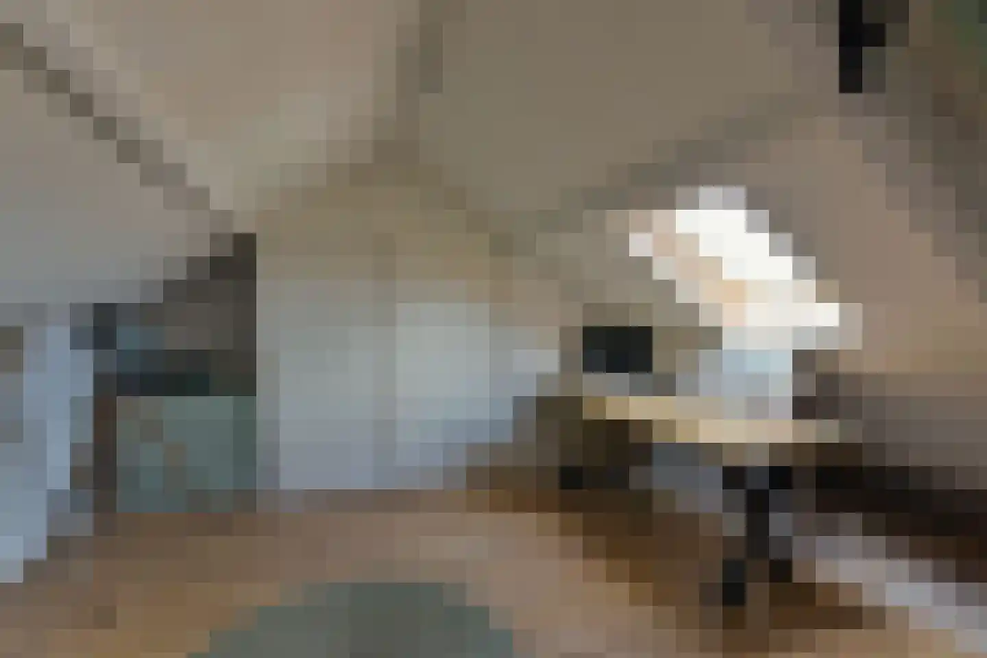 Florastraat 43 Blokker thumbnail 23