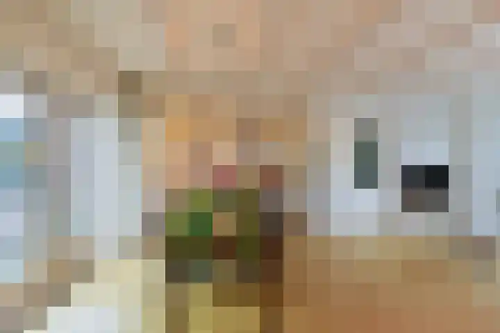 Florastraat 46 Blokker thumbnail 11