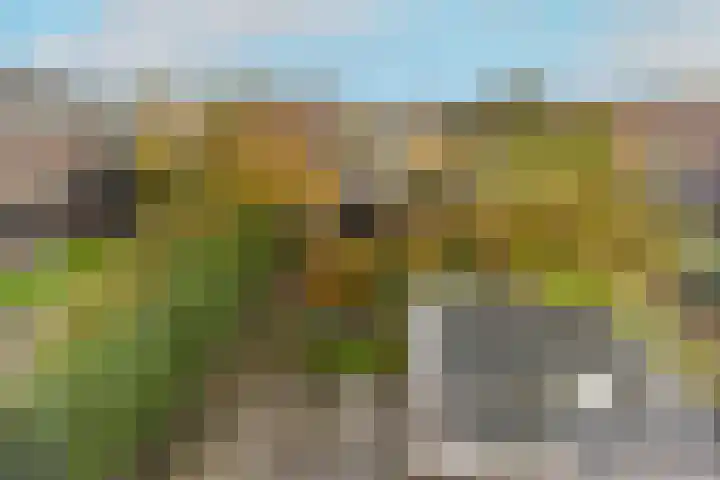 Florastraat 46 Blokker thumbnail 32