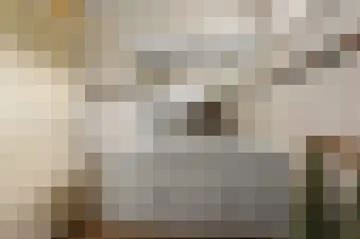 Florastraat 61 Wormer thumbnail 24