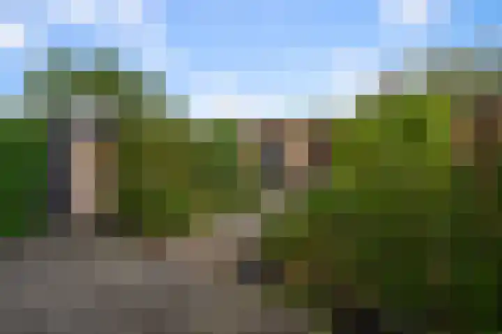 Florastraat 61 Wormer thumbnail 6