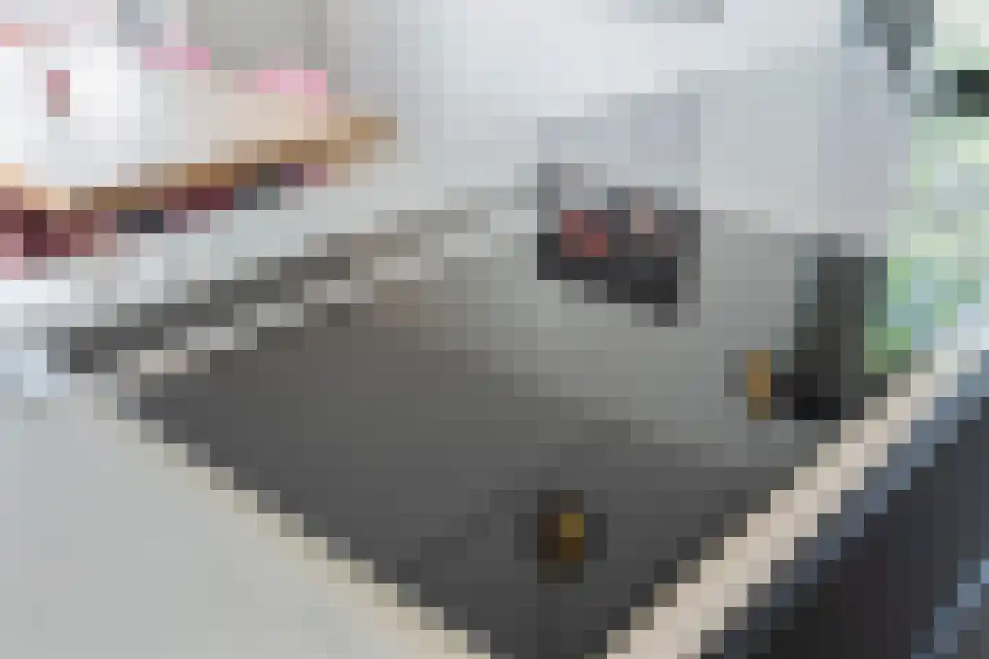 Florastraat 7 Beverwijk thumbnail 10